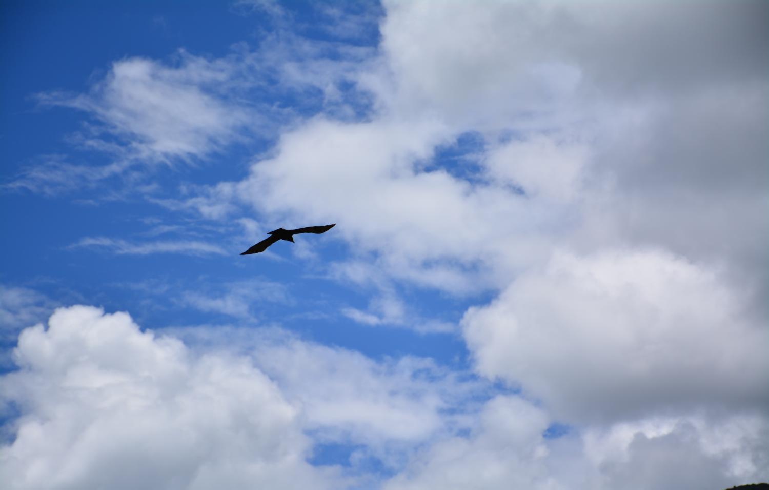 家用霧化器怎么樣？如何使用？
